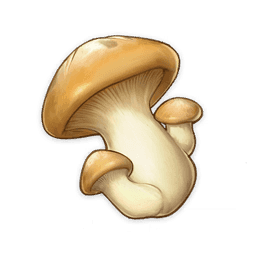Mushroom image
