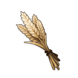 Wheat image