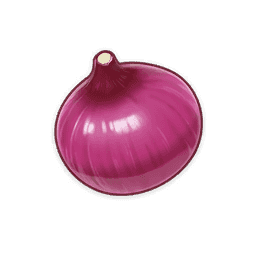 Onion image