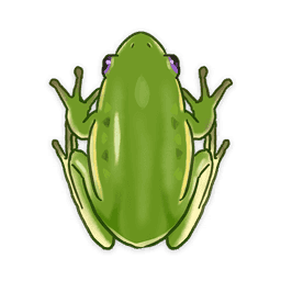 Frog image