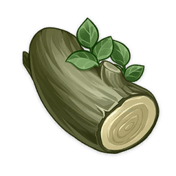 Pedunculate Oak Wood image