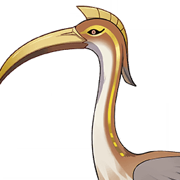 Sacred Ibis image