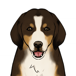 Chestnut Hunting Hound image