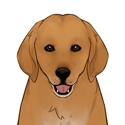 Amber Hunting Hound image