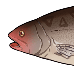 Black-Back Bass image