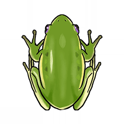 Frog image