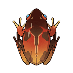 Forest Tree Frog image