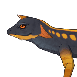 Red Tailed Lizard image