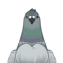 Graywing Pigeon image