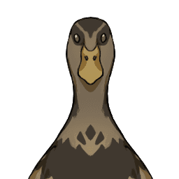 Velvetfall Duck image